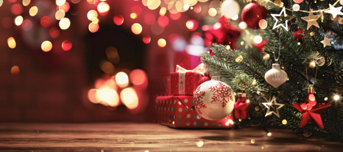 Coperte, piante, accessori per il fitness e tour ecosostenibili: quante idee per il Natale 2024!