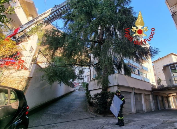 Porta di ferro volata su un pino a più di 20 metri di altezza a causa del vento