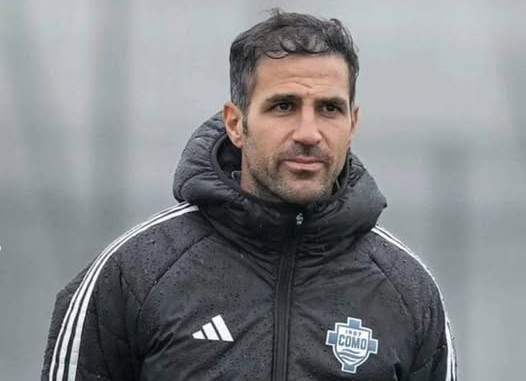 Mr Fabregas prepara il Como anti Bologna: “Coraggiosi contro una squadra da Champions”