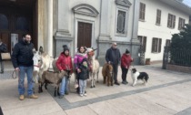 Benedetti gli animali sul piazzale della chiesa