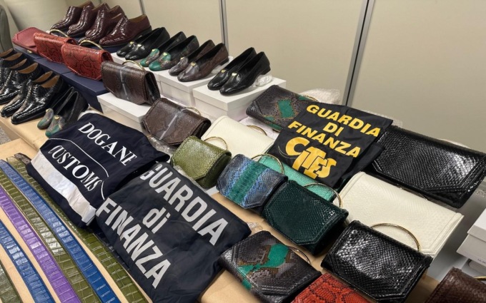 Maxisequestro per 70 accessori realizzati con pelli d’animali in via d’estinzione