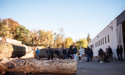 Festival del Legno, confermate le date della nuova edizione