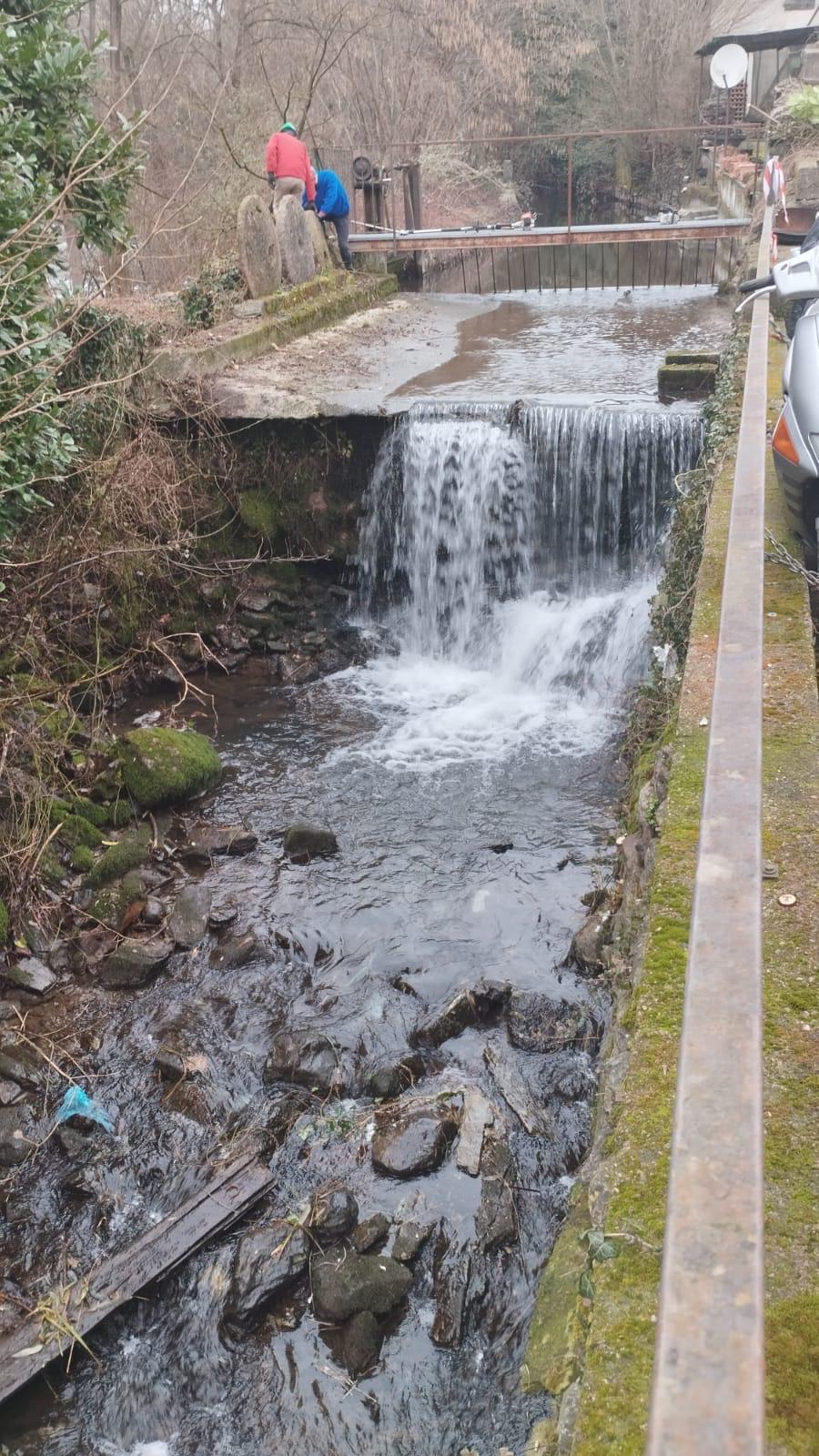 rogeno fiumi sicuri pulizia fiume (8)