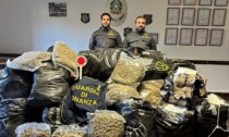 Traffico di droga, sequestrata merce per quasi 410 chilogrammi