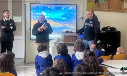 Gli alunni della scuola primaria incontrano i Carabinieri Forestali