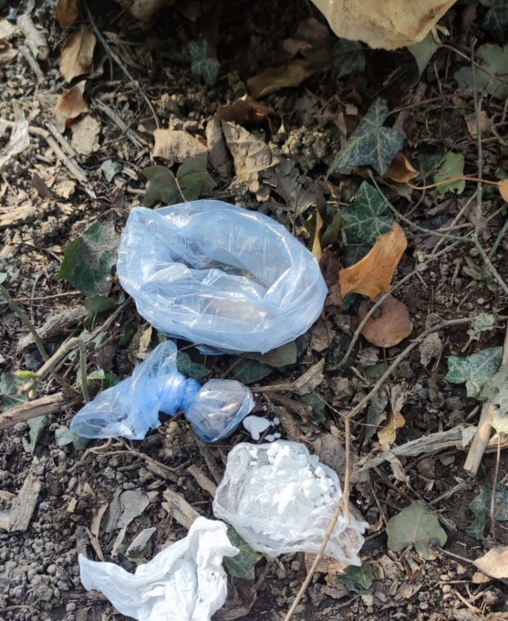 Blitz antidroga nei boschi di via Anzani: sequestrate dosi di cocaina, eroina e hashish