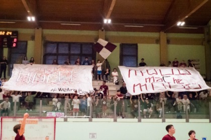 le Bocce Erba tifosi