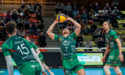 Campi Reali, Luca Martinelli resta in regia