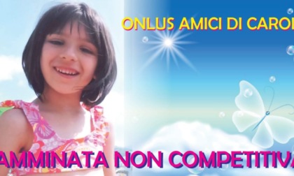 Amici di Carola: rubato lo striscione della camminata