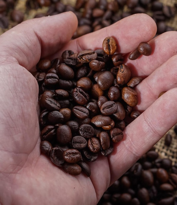 Viaggio tra le miscele: guida alla scelta del caffè perfetto per te