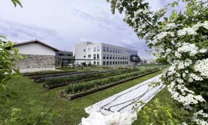 Cascina Andegardo, l'agricoltura diventa inclusione in provincia di Lecco