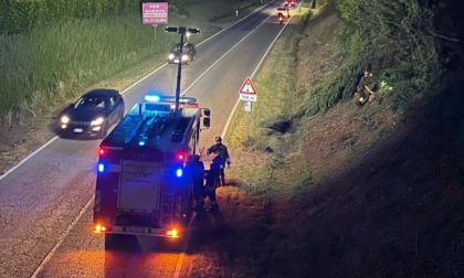 Cade un albero, intervengono i Vigili del fuoco
