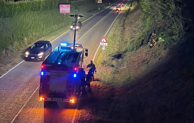 Cade un albero, intervengono i Vigili del fuoco
