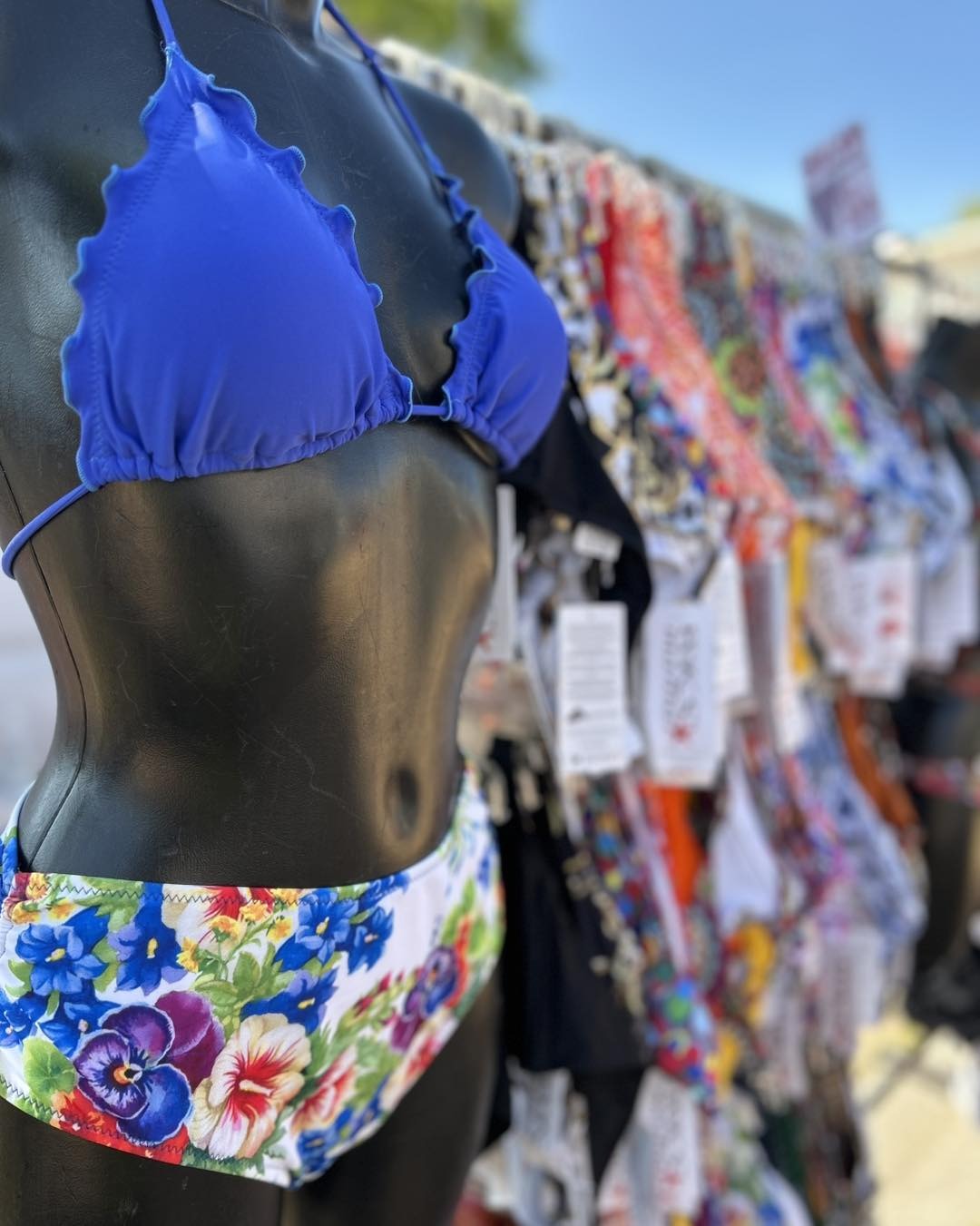 Bikiniscompagnati