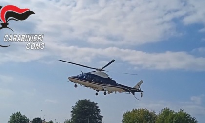 Controlli antidroga nei boschi dei Carabinieri