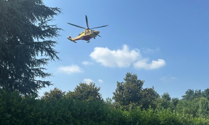 Punto alla testa da un insetto, si sente male: soccorso