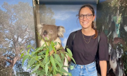 Da Cucciago a Perth: "Qui uno stile di vita più sereno"
