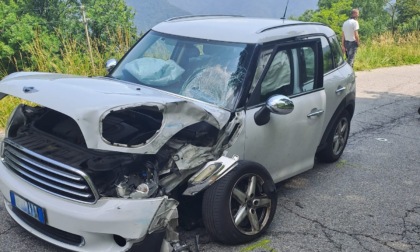 "Auto e moto a tutta velocità, ora basta": cittadini formano un comitato
