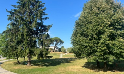Troppi rumori al parco: le lamentele di un cittadino