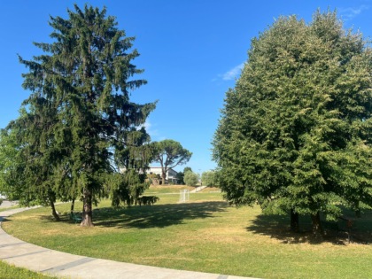 Troppi rumori al parco: le lamentele di un cittadino