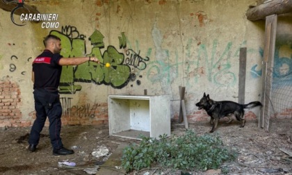 Smantellati 14 bivacchi della droga: in un solo giorno avrebbero "fruttato" fino a 60mila euro