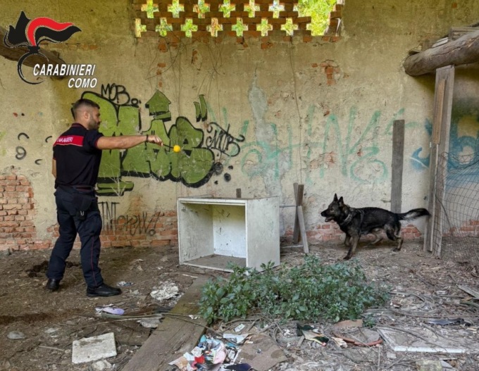 Smantellati 14 bivacchi della droga: in un solo giorno avrebbero “fruttato” fino a 60mila euro