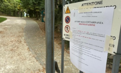 Intervento di disinfestazione contro le zanzare