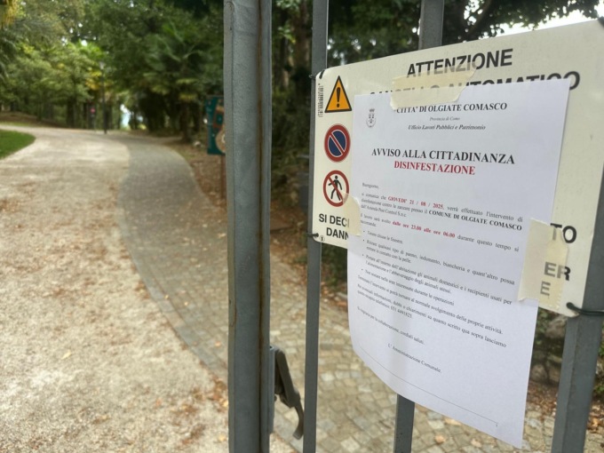 Intervento di disinfestazione contro le zanzare