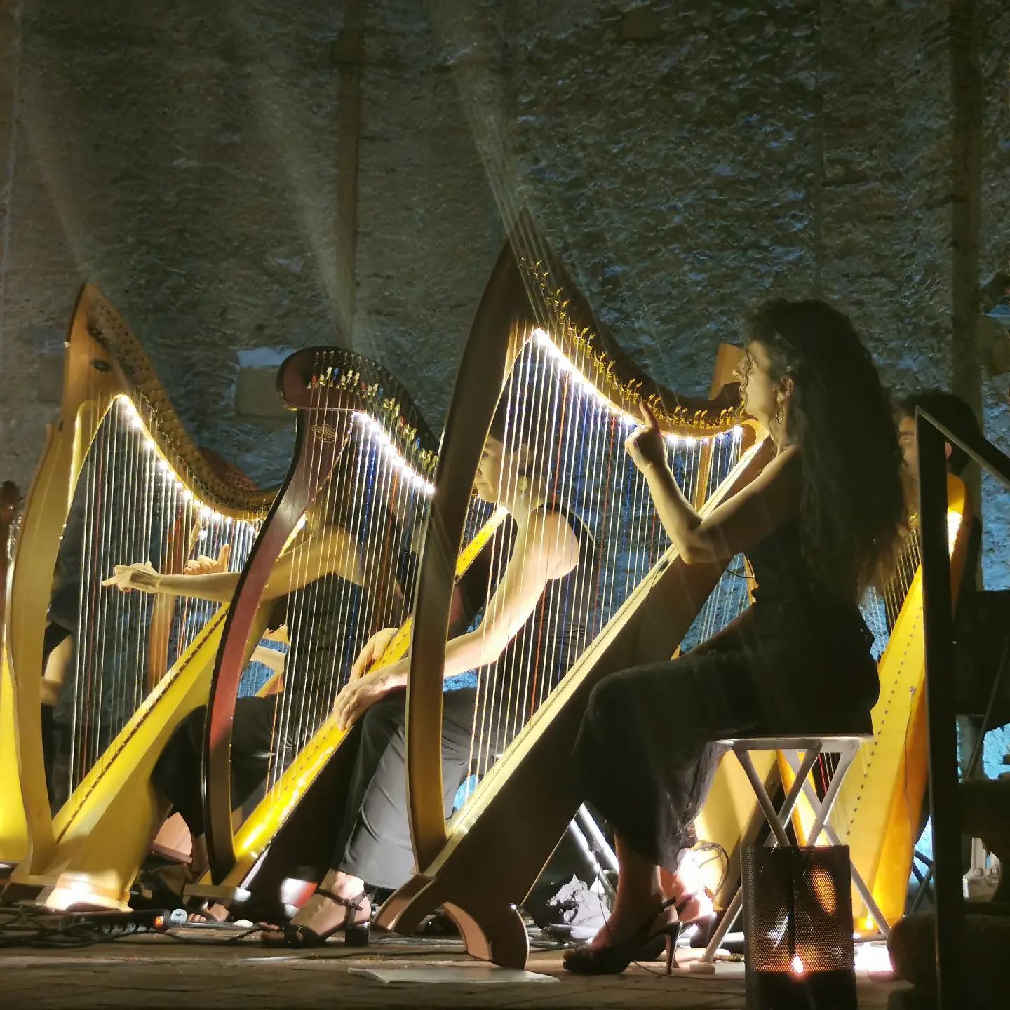 Como Celtic Harp Orchestra