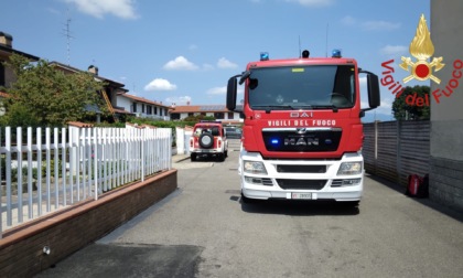 Incendio in una palazzina, salvati quattro gatti