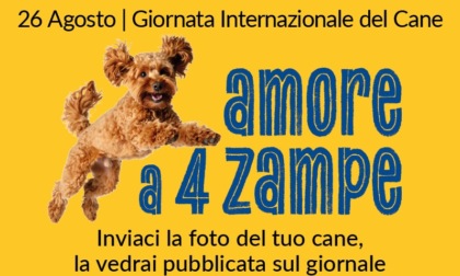 Giornata mondiale del cane: inviateci le foto dei vostri amici a quattro zampe