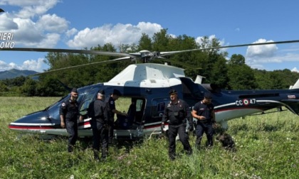 Smantellati dieci bivacchi della droga e sequestrati quattro etti di hashish
