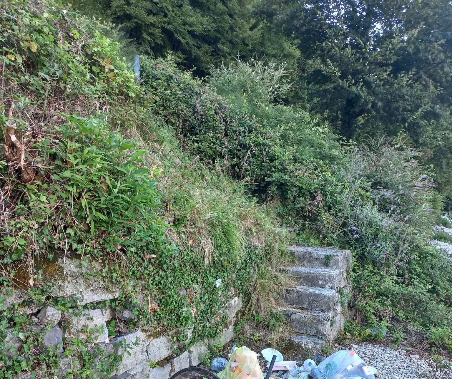 volontari plastic free a valbrona spiaggia (5)