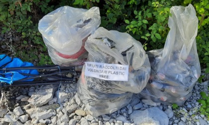 Volontariato ambientale sulle spiagge del lago