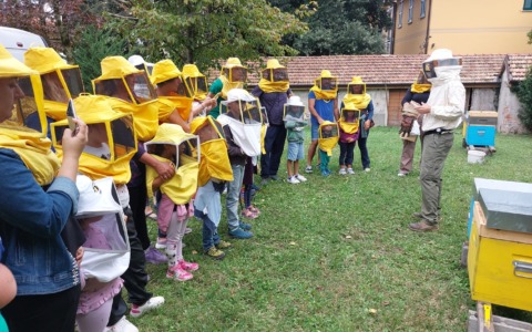 Parte il Concorso letterario legato alla “Festa delle Api” 2026