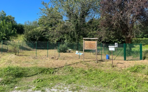 Presto una nuova area cani: lavori di allestimento in corso
