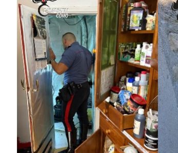 In casa aveva una serra per coltivare marijuana: denunciato 55enne