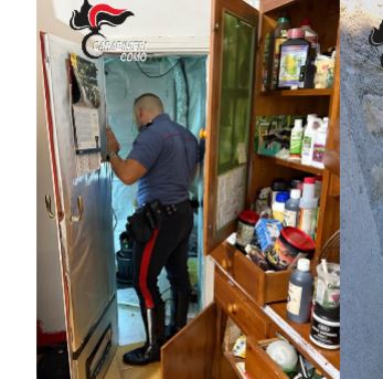 In casa aveva una serra per coltivare marijuana: denunciato 55enne