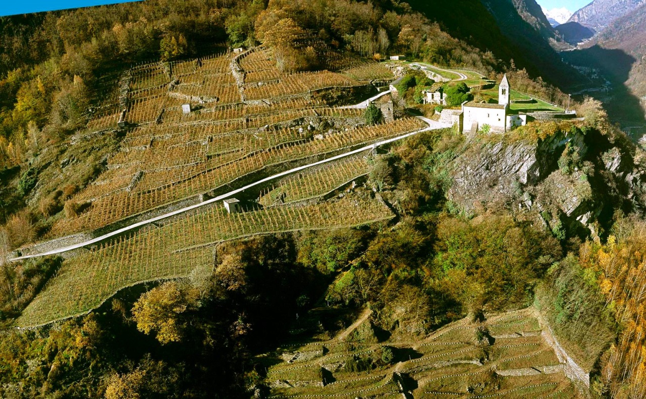 Sforzato Wine Festival – Eroico Rosso, torna l’evento a Tirano