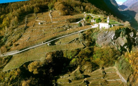 Sforzato Wine Festival – Eroico Rosso, torna l’evento a Tirano