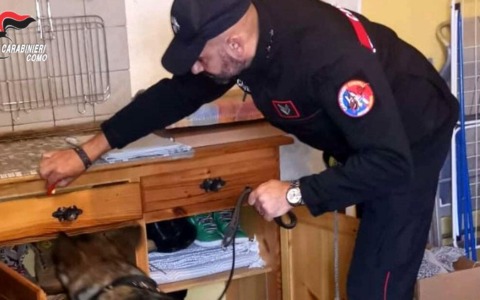 Aveva con sè sostanze stupefacenti: lo “becca” il cane antidroga