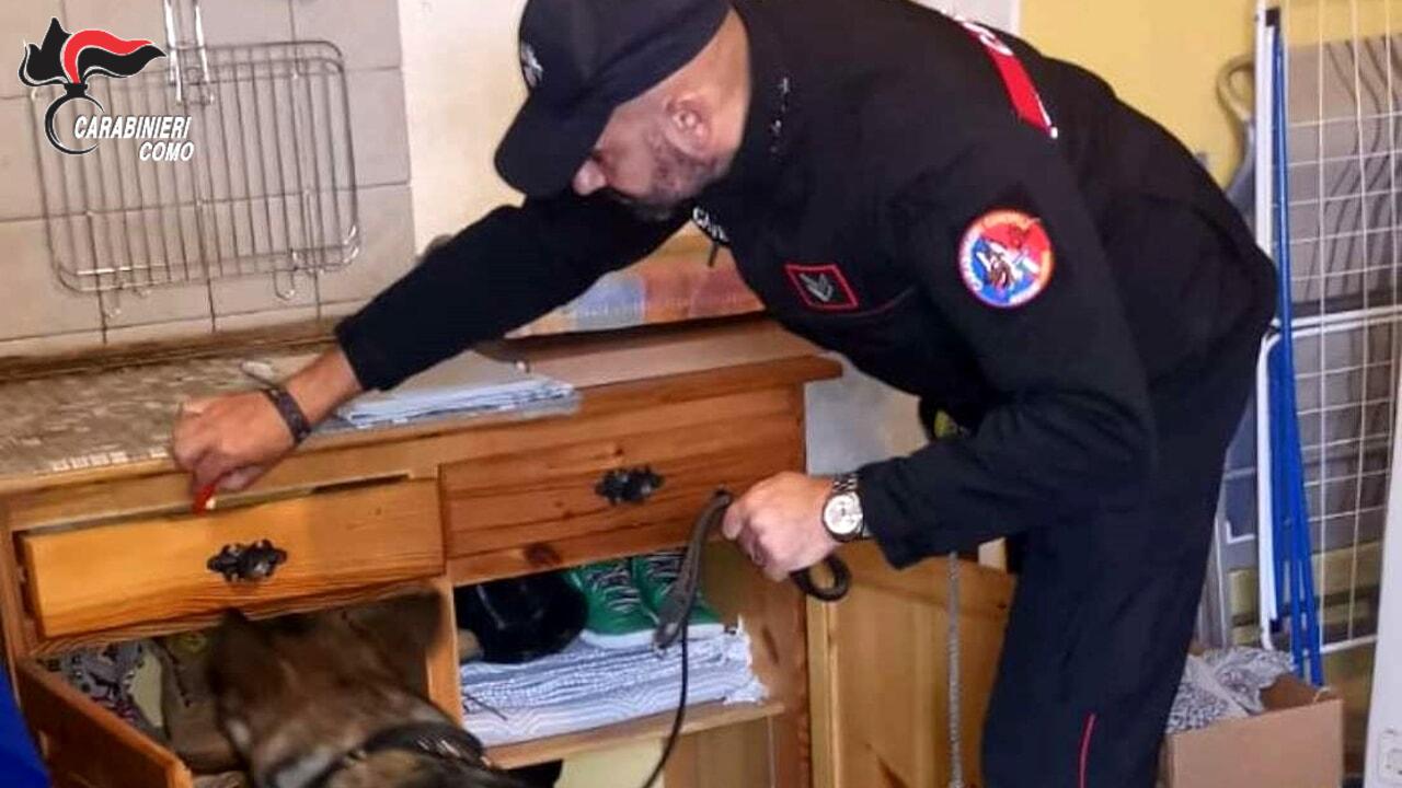 Aveva con sè sostanze stupefacenti: lo “becca” il cane antidroga