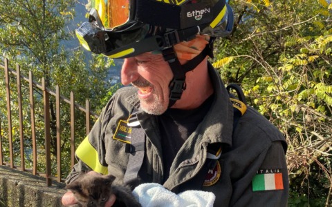 Gattino salvato dai Vigili del fuoco: recuperato in un dirupo di 20 metri