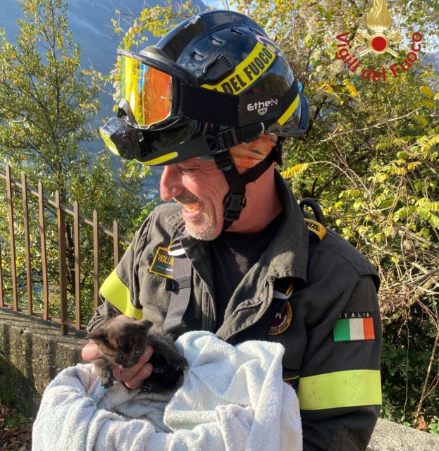 Gattino salvato dai Vigili del fuoco: recuperato in un dirupo di 20 metri