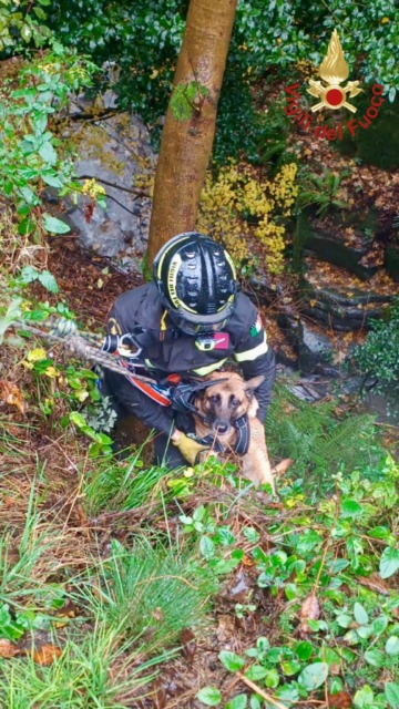 Cane scivola in una forra, salvato dai pompieri
