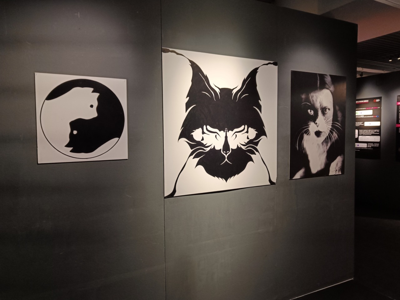 “Quantum”, la mostra dedicata alla scienza e alle tecnologie quantistiche