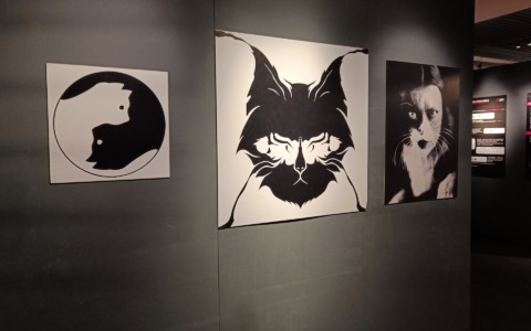 “Quantum”, la mostra dedicata alla scienza e alle tecnologie quantistiche