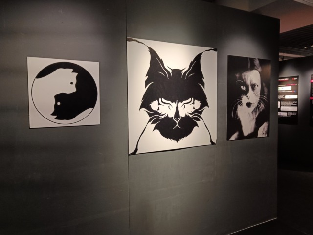 “Quantum”, la mostra dedicata alla scienza e alle tecnologie quantistiche