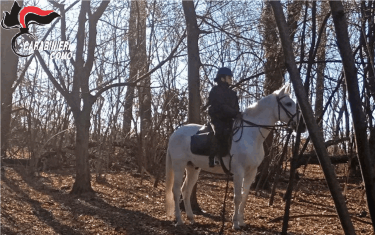 Controlli nei boschi col supporto dei “Cacciatori” e dei Carabinieri a Cavallo