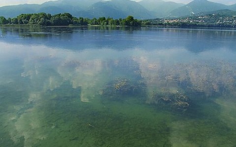 Ecco qual è il lago più inquinato della Provincia di Como